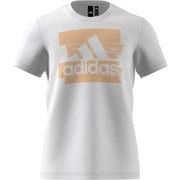 FSR35 DV3081 J/L MMUSTHAVESフォイルグラフィックT