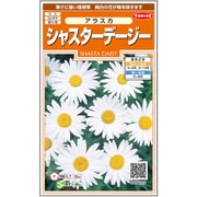 種 7220 実咲花 シャスター デージー アラスカ 約220粒 1袋