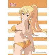 この素晴らしい世界に祝福を！ 描き下ろし ダクネス B2タペストリー [キャラクターグッズ]