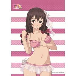 この素晴らしい世界に祝福を！紅伝説]描き下ろしB2タペストリー