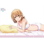 やはり俺の青春ラブコメはまちがっている。続 描き下ろし いろは 横長B2タペストリー [キャラクターグッズ]