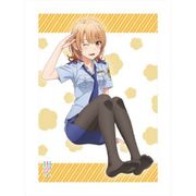 やはり俺の青春ラブコメはまちがっている。続 描き下ろし ポリスいろは BIGタペストリー [キャラクターグッズ]