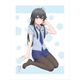 やはり俺の青春ラブコメはまちがっている。続 描き下ろし ポリス雪乃 BIGタペストリー [キャラクターグッズ]