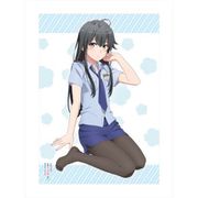 やはり俺の青春ラブコメはまちがっている。続 描き下ろし ポリス雪乃 BIGタペストリー [キャラクターグッズ]
