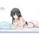 やはり俺の青春ラブコメはまちがっている。続 描き下ろし 雪乃 横長B2タペストリー [キャラクターグッズ]