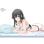 やはり俺の青春ラブコメはまちがっている。続 描き下ろし 雪乃 横長B2タペストリー [キャラクターグッズ]