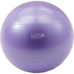 D5422PU [ギムニク カラーボール PLUS 65 パープル]