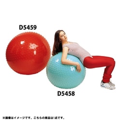 D5459 [触覚ボール100]