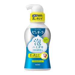 薬用ピュオーラ 泡ハミガキ マイルドグリーンの香味 190ml [液体・泡ハミガキ 医薬部外品]