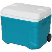 グラシードキャリー 40L [クーラーボックス]