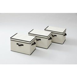 どこでも収納BOXフタ付き YNF-3PF-IV