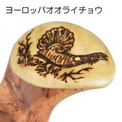 ヨドバシ.com - Pahkataide パッカタイデ ククサ カーリーバーチ