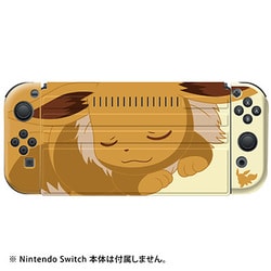 Nintendo Switch
イーブイセット