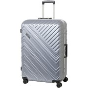 SP-0783-69 シルバー ハード/フレーム 90L