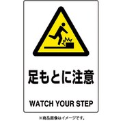 802-421A [ユニット JIS規格標識 足もとに注意]