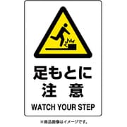 803-421A [ユニット JIS規格標識 足もとに注意]