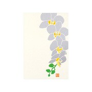 88530006 [限定 ポストカード 530 蘭柄]