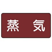 AS.2SS [ユニット 配管ステッカー 蒸気(極小) アルミ 30×60 10枚組]