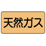 AS.4.19M [ユニット 配管ステッカー 天然ガス(中) アルミ 60×120 10枚組]