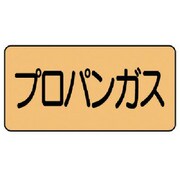 AS.4.5S [ユニット 配管ステッカー プロパンガス(小) アルミ 40×80 10枚組]