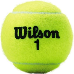 ヨドバシ.com - ウィルソン Wilson ユーエスオープン エクストラ