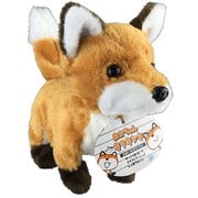 あかちゃんキタキツネ
