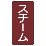 AST-2-2SS [ユニット 配管ステッカー スチーム(極小) アルミ 60×30 10枚組]