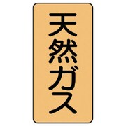 AST-4-19SS [ユニット 配管ステッカー 天然ガス(極小) アルミ 60×30 10枚組]