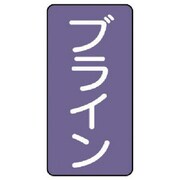 AST-5-11SS [ユニット 配管ステッカー ブライン(極小) アルミ 60×30 10枚組]