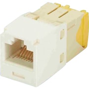 CJT5E88TGIW [パンドウイット カテゴリ5E RJ45モジュラージャック UTP 28・30AWG TGタイプ 白 CJT5E88TGIW]