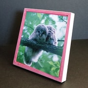 写真用パネル フォトプレート マグ L判スクエア ピンク