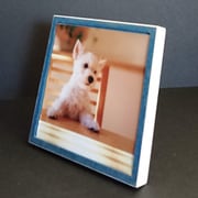写真用パネル フォトプレート マグ L判スクエア エメラルドブルー