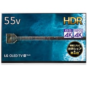 OLED E9P 55V型 地上・BS・110度CSデジタル 有機ELテレビ 4K対応/4Kチューナー内蔵 OLED55E9PJA