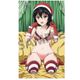 ストライク・ザ・ブラッドIII マイクロファイバーバスタオル 姫柊雪菜 サンタver. [キャラクターグッズ]
