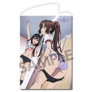 ストライク・ザ・ブラッドIII B2タペストリー 姫柊雪菜&煌坂紗矢華 体操着ver. [キャラクターグッズ]