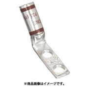 LCDN2-14AH-Q [パンドウイット 銅製圧縮端子 2穴 幅細取付板 電線サイズ AWG2 取付穴サイズ 69mm 取付穴間隔 160mm バレル角度 45度  LCDN2-14AH-Q]