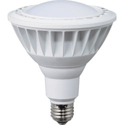 LDR20L-H110 [ハタヤ LED作業灯 20W交換球電球色広角タイプ]