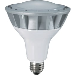 LDR20N-H110 [ハタヤ LED作業灯 20W交換球昼白色広角タイプ]