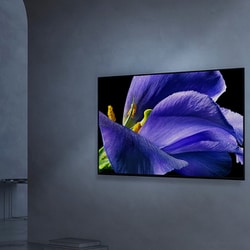 ヨドバシ Com ソニー Sony Kj 65a9g Bravia ブラビア gシリーズ 65v型 地上 Bs 110度csデジタル 有機elテレビ 4k対応 4kダブルチューナー内蔵 通販 全品無料配達