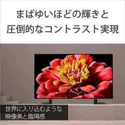 ヨドバシ.com - ソニー SONY KJ-49X9500G [BRAVIA（ブラビア） X9500G