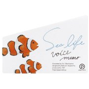 シーライフボイスメモ クマノミ YKP90-4773