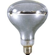 NRF-200-110V [日動 安全投光器用電球200W]