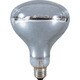 NRF-200 [日動 投光器用電球200W]