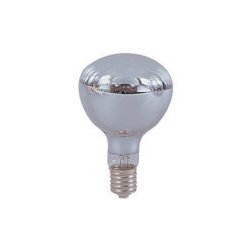 NRF-300 [日動 安全投光器用電球300W]