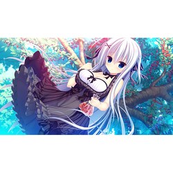 Amazon.co.jp: ラズベリーキューブ 初回限定特装版 - PS4