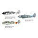 EDU82145 Fw190A-8/R2 [1/48スケール プラモデル 2022年6月再生産]