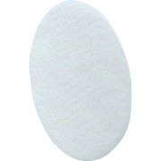 PMS10 [シゲマツ ヘッダ付ペイントメイトS(10枚入り)]