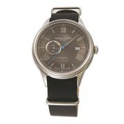 エレジェニック HWG010SGY