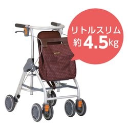 歩行車 WAW04 000000000350.jpg