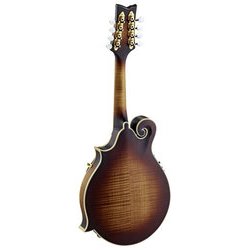 ヨドバシ.com - ORTEGA オルテガ マンドリン フラットタイプ F